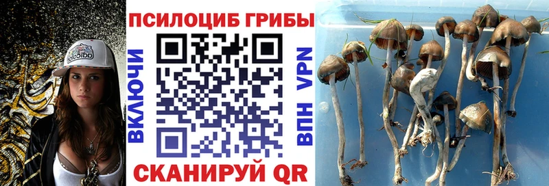 blacksprut   Белорецк  Галлюциногенные грибы Magic Shrooms 