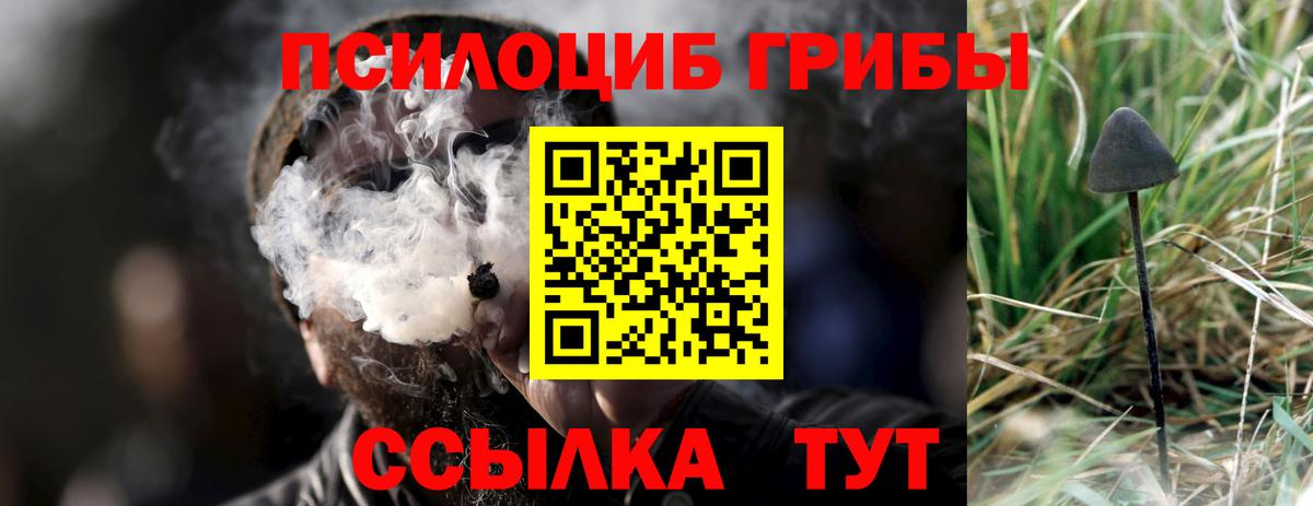 Белорецк  Галлюциногенные грибы Psilocybe  Вход с VPN 